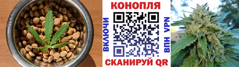 Купить где  Семёнов  Cannafood конопля 