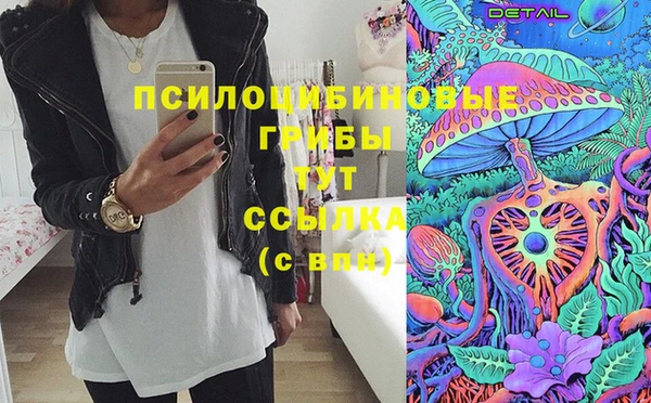 мдпв Вяземский