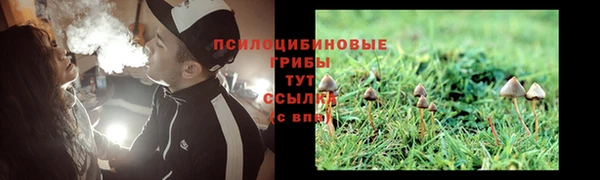 мдпв Вяземский