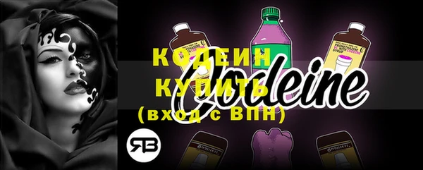 мдпв Вяземский