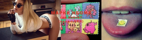 мдпв Вяземский