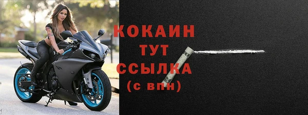 мдпв Вяземский