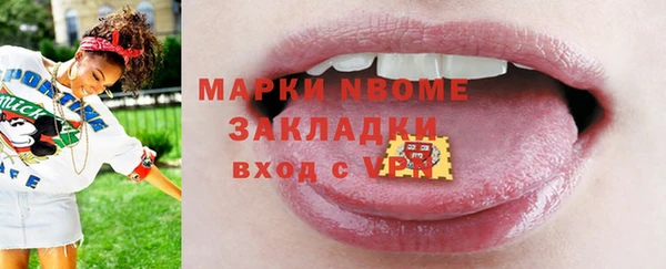 мдпв Вяземский
