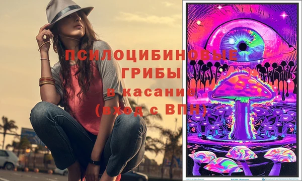 мдпв Вяземский