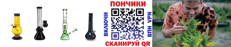 Канабис планчик  Купить  Семёнов 